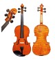 Hora Master Violin V400 4/4