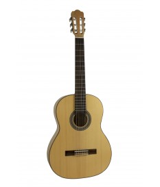 Hora Eco SS100 maple guitar